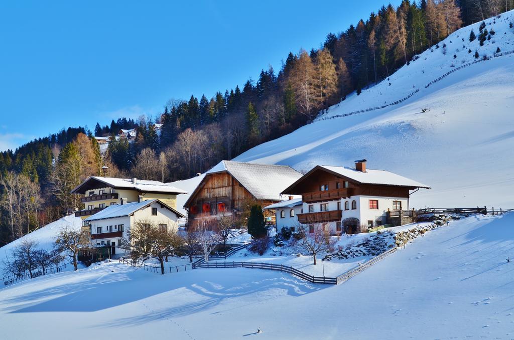 Spreitzhof - Appartements Schladming Dış mekan fotoğraf