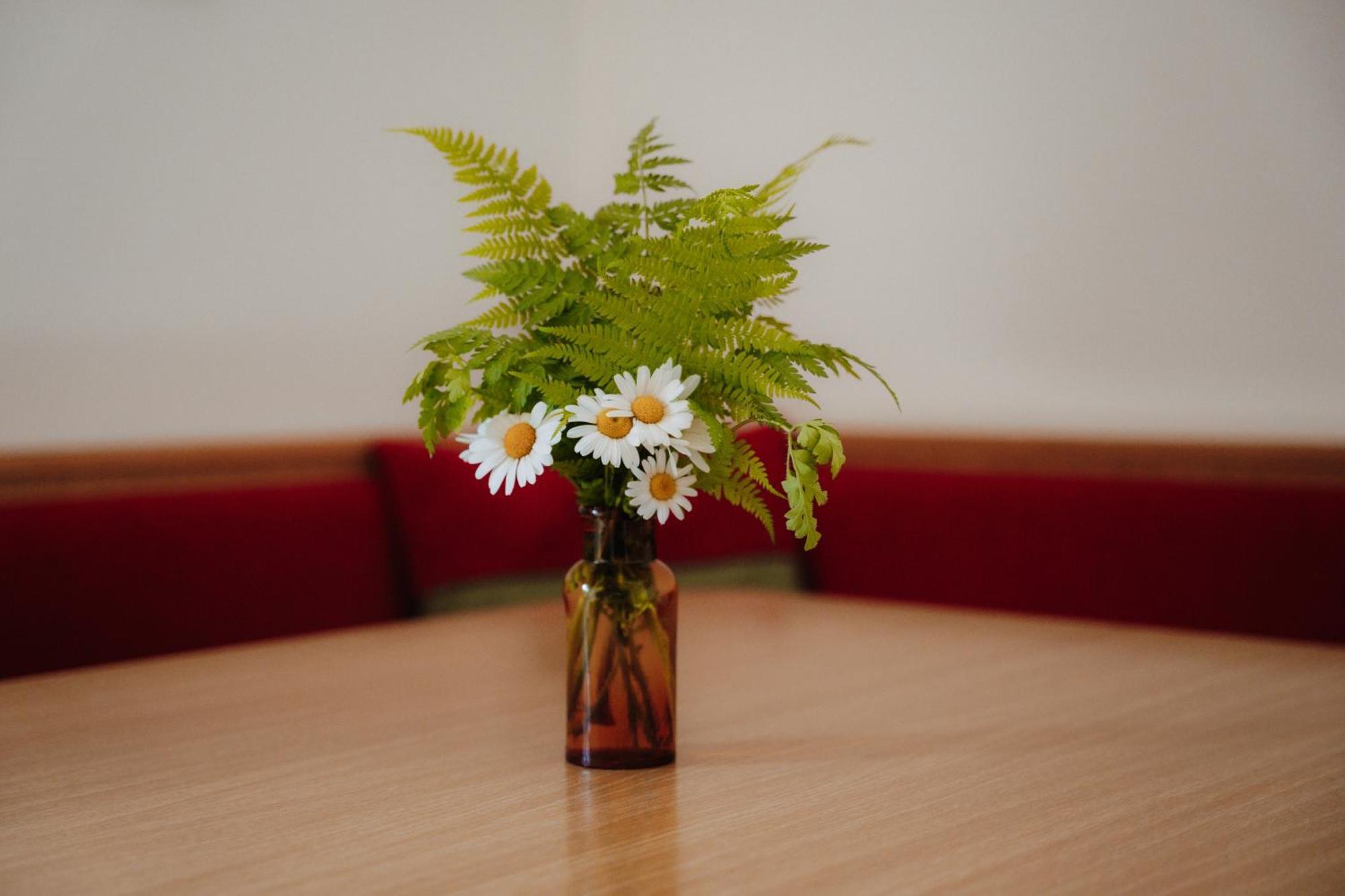 Spreitzhof - Appartements Schladming Dış mekan fotoğraf